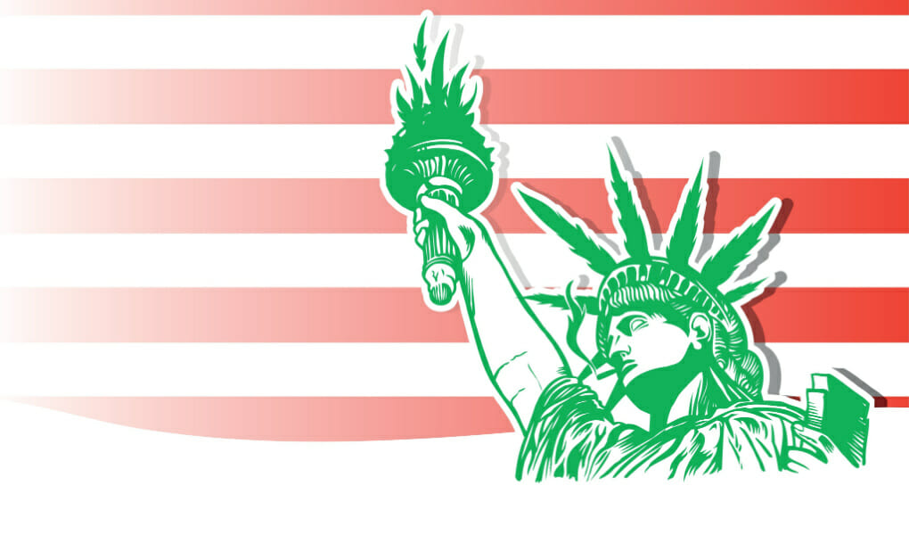 DELTA-8-IN-NEW-YORK-LEGAL-WHERE-TO-BUY-IN-2022_