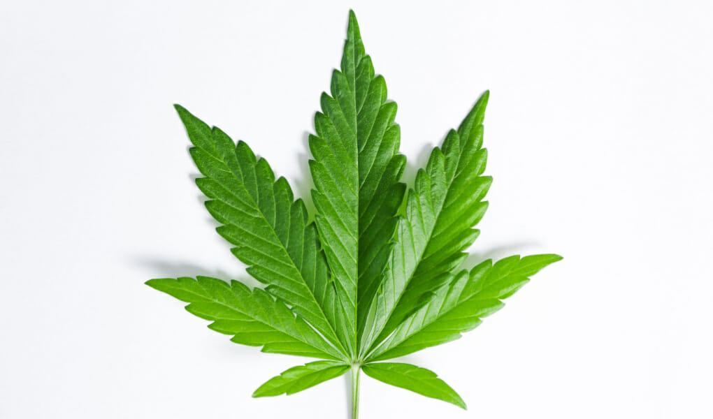 DELTA 8 IN VIRGINIA: IS IT LEGAL & WHERE TO BUY IN 2022?