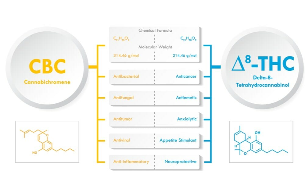 Delta-8 Edible Dosing